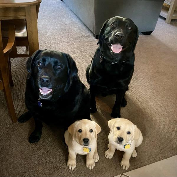 /Images/uploads/International Guiding Eyes Inc/gdapawsitivitycalendar/entries/20044thumb.jpg